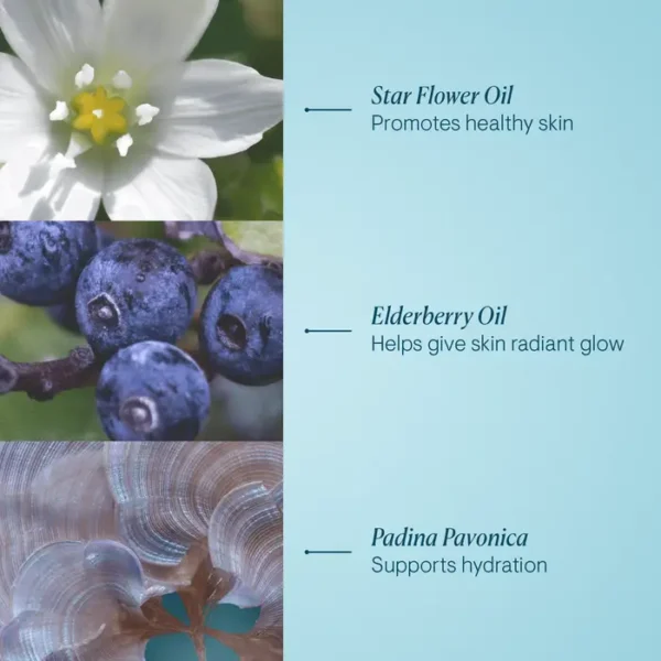 ELEMIS Pro-Collagen Cleansing Balm 100g - Image 11