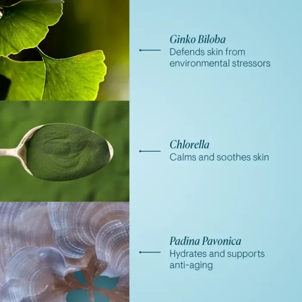 Elemis Pro Collagen Marine Cream SPF 30 50ml - Image 6