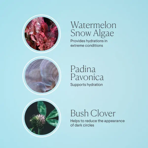 ELEMIS Pro-Collagen Eye Revive Mask 15ml - Image 7